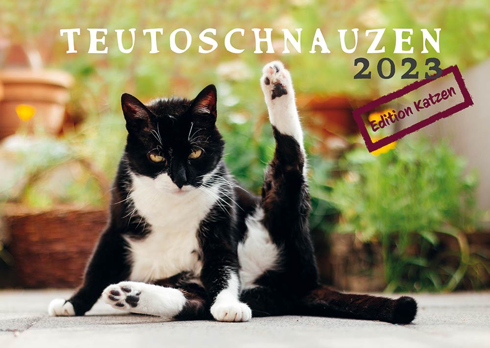 Katzenkalender 2023 mit katzenfotos im Grünen